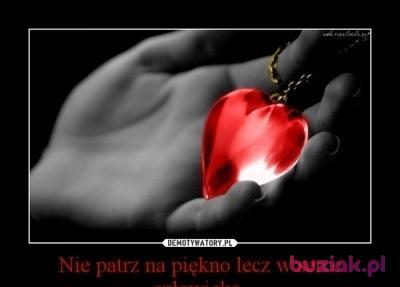 marek1955, Mężczyzna, 71, Zielona Góra, Polska, Zdjęcie: 3
