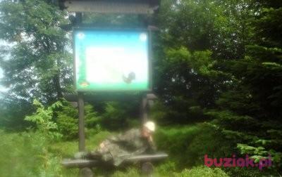 jacek, Mężczyzna, 53, Nowy Sącz, Polska, Zdjęcie: 5