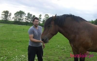 Marcin-K, Mężczyzna, 37, Niemcy, Zdjęcie: 3