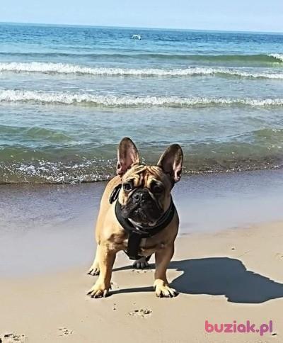 Navas, Male, 44, Warszawa, Polska, Photo: 7