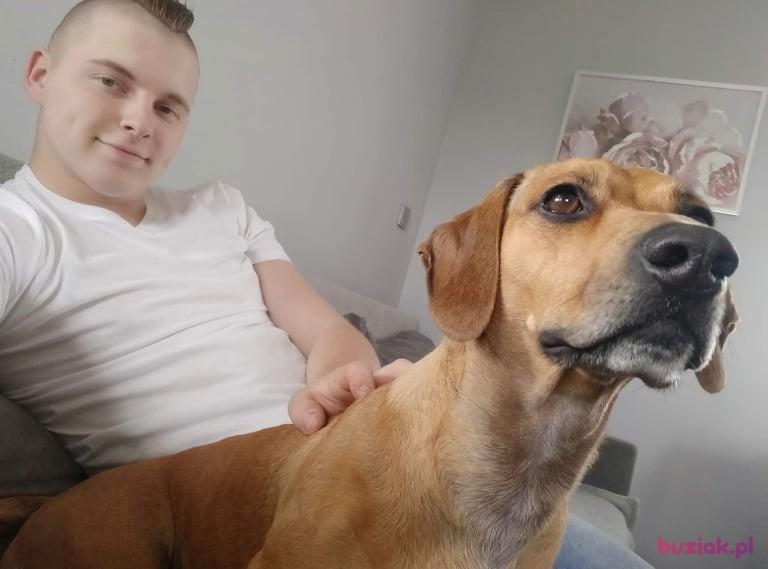 Kacper, Mężczyzna, 25, Bytom Odrzański, Polska, Zdjęcie: 2