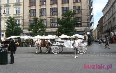 Jarek, Mężczyzna, 63, Czerwionka-Leszczyny, Polska, Zdjęcie: 1