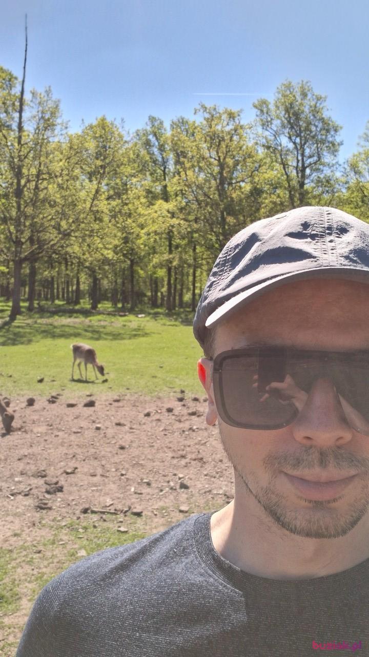 Hubert, Mężczyzna, 36, Siedlce, Polska, Zdjęcie: 4