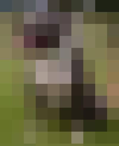 Andrii, Mężczyzna, 41, Będzin, Polska, Zdjęcie: 3