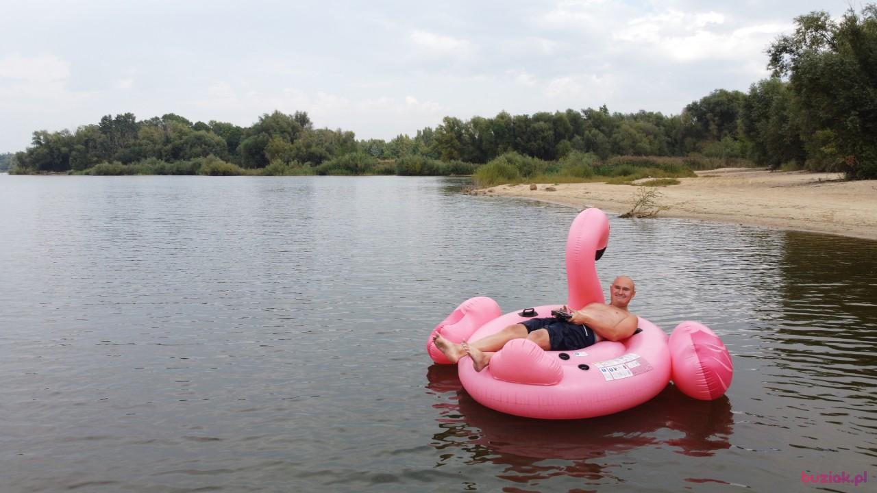 Michał, Male, 37, Zgierz, Polska, Photo: 695