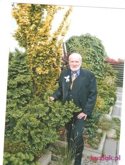 Kazimierz, Mężczyzna, 82, Katowice, Polska, Zdjęcie: 3