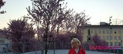 Elzbieta, Kobieta, 63, Szczecin, Polska, Zdjęcie: 2