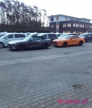 Robert, Mężczyzna, 43, Wągrowiec, Polska, Zdjęcie: 2