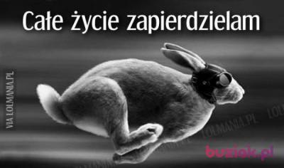 Łukasz , Mężczyzna, 46, Poznań, Polska, Zdjęcie: 2