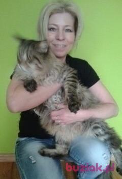 Mariola, Kobieta, 54, Poznań, Polska, Zdjęcie: 3