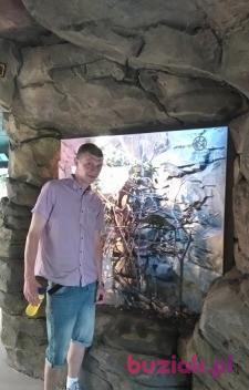 andrzej1072, Mężczyzna, 40, Antwerpia, Belgia, Zdjęcie: 2
