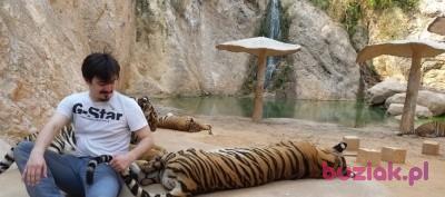 Łukasz, Mężczyzna, 40, Gdynia, Polska, Zdjęcie: 3