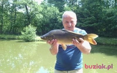Janek, Mężczyzna, 65, Chmielnik, Polska, Zdjęcie: 4