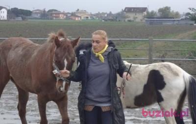 wiktoria, Kobieta, 66, Kraków, Polska, Zdjęcie: 3
