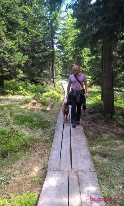 Mariusz, Mężczyzna, 44, Legnica, Polska, Zdjęcie: 3