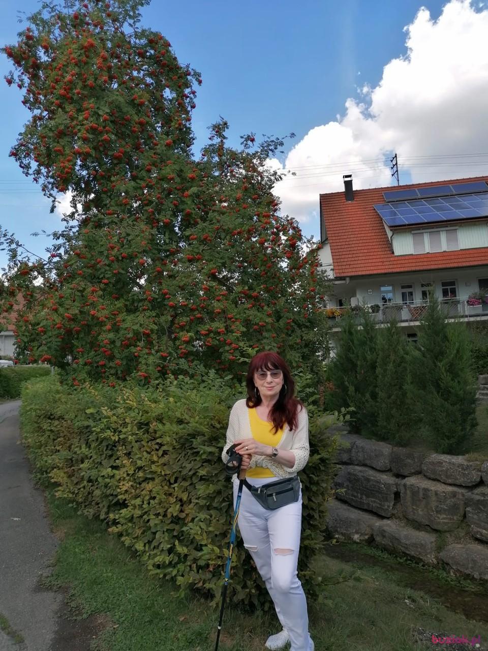 Danuta, Kobieta, 66, Lublin, Polska, Zdjęcie: 2