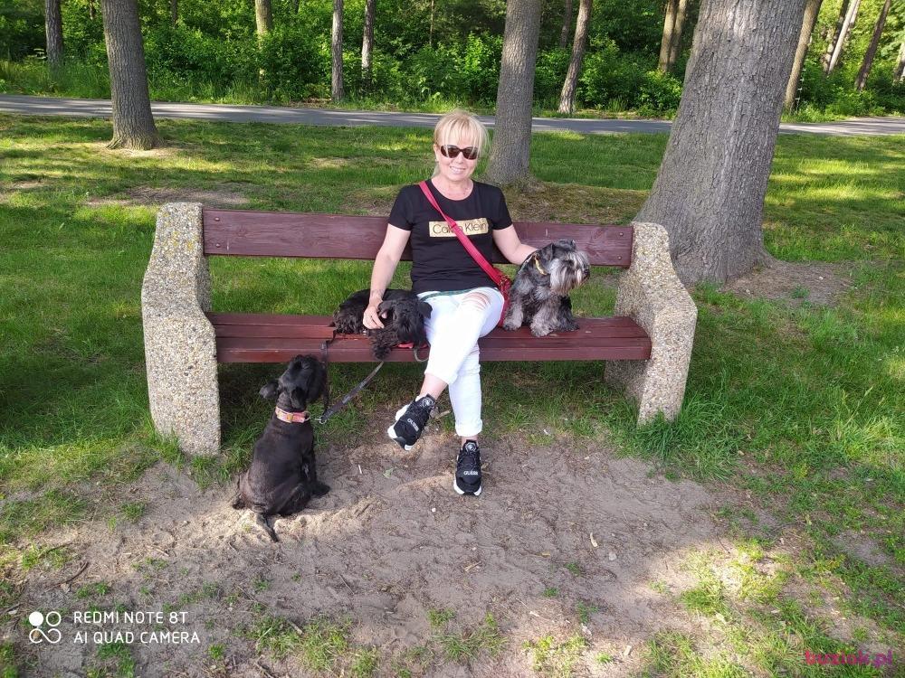 Krystyna, Kobieta, 53, Ostrów Wielkopolski, Polska, Zdjęcie: 4
