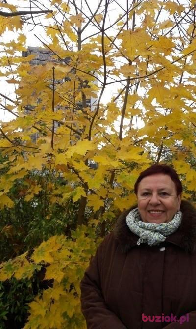Lucyna, Kobieta, 72, Wrocław, Polska, Zdjęcie: 17