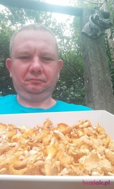 Krzysiek, Mężczyzna, 50, Gliwice, Polska, Zdjęcie: 12