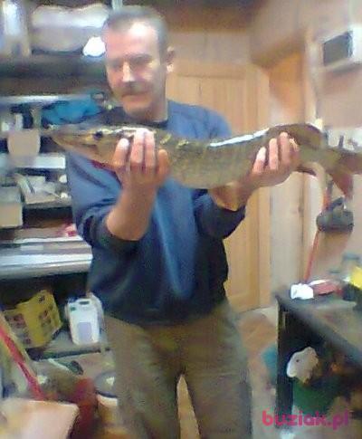 Mariusz, Male, 57, Szczecin, Polska, Photo: 2