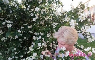Dorota, Kobieta, 59, Strzelce Krajeńskie, Polska, Zdjęcie: 6