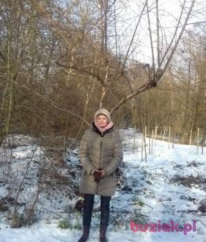 Elżbieta, Kobieta, 70, Luboń, Polska, Zdjęcie: 1