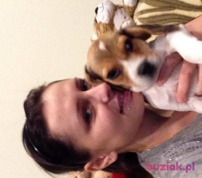 Kamila, Kobieta, 39, Etterbeek, Belgia, Zdjęcie: 4