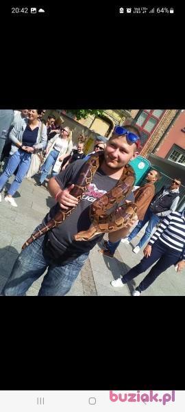 Adrian, Mężczyzna, 30, Pruszcz Gdański, Polska, Zdjęcie: 6
