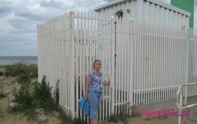 wioletta, Kobieta, 53, Gdańsk, Polska, Zdjęcie: 3