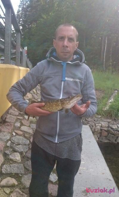 Piotr, Mężczyzna, 41, Warszawa, Polska, Zdjęcie: 4