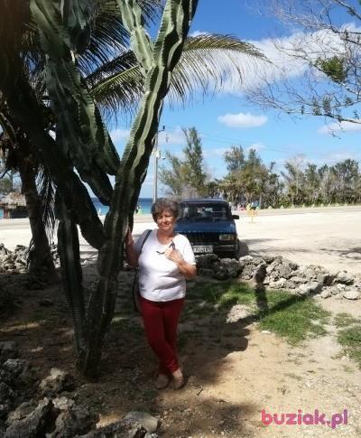 Romualda, Kobieta, 75, Sosnowiec, Polska, Zdjęcie: 3