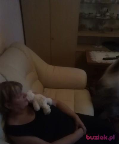 Elżbieta, Kobieta, 66, Świdwin, Polska, Zdjęcie: 6