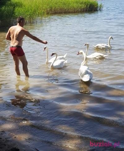 Kamil, Mężczyzna, 44, Szydłowiec, Polska, Zdjęcie: 4