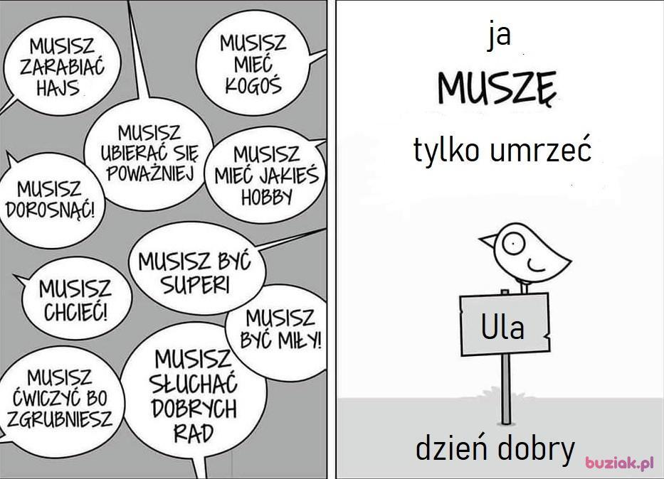 Ula, Kobieta, 70, Rzeszów, Polska, Zdjęcie: 3