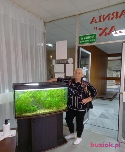 Krystyna, Kobieta, 71, Warszawa, Polska, Zdjęcie: 2