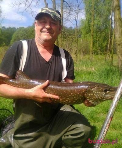 Józef , Mężczyzna, 68, Siemianowice Śląskie, Polska, Zdjęcie: 3