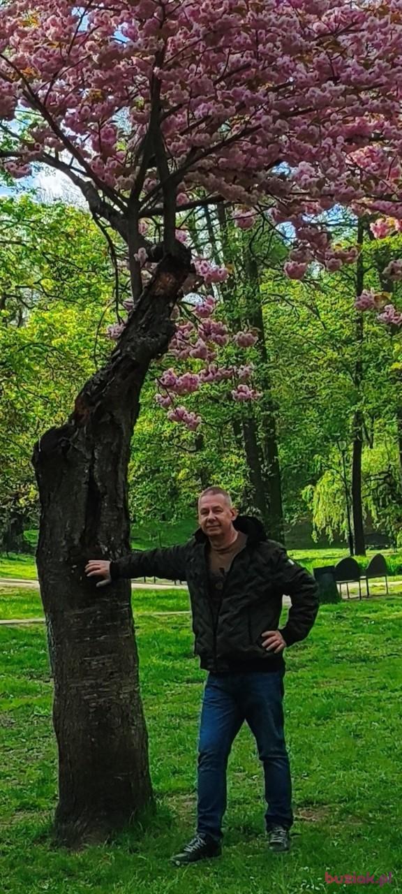 Irek, Male, 61, Gdańsk, Polska, Photo: 5
