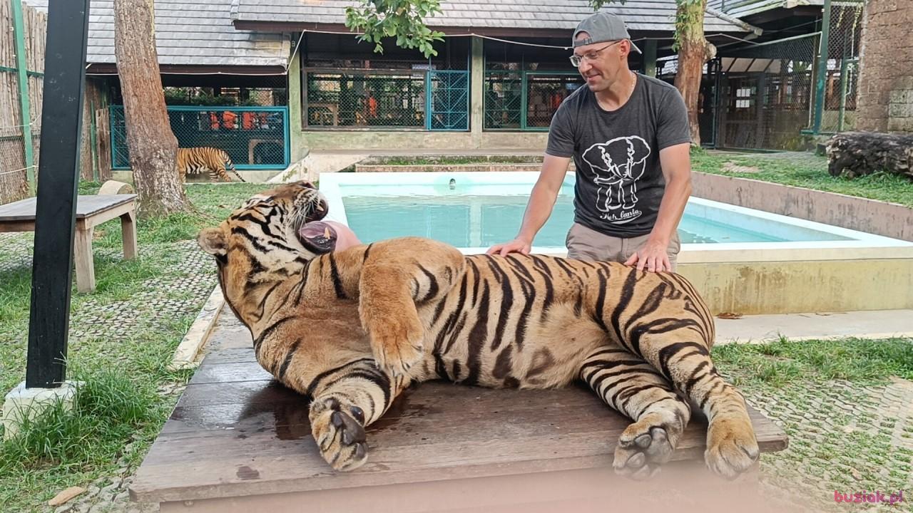 Tom, Male, 45, Yeovil, Wielka Brytania, Photo: 3