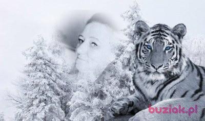 KAMILA, Kobieta, 47, Łódź, Polska, Zdjęcie: 7