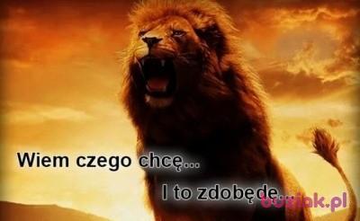Jacek, Mężczyzna, 43, Wyszków, Polska, Zdjęcie: 3
