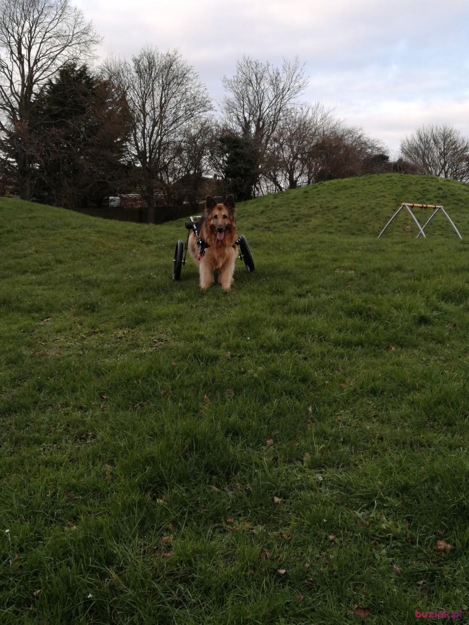 Marcin, Male, 50, Banbury, Wielka Brytania, Photo: 4