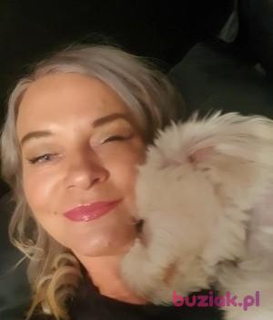 Agnieszka, Kobieta, 55, Carlisle, Wielka Brytania, Zdjęcie: 4