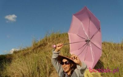 LauraElsol, Kobieta, 42, Wielka Brytania, Zdjęcie: 3