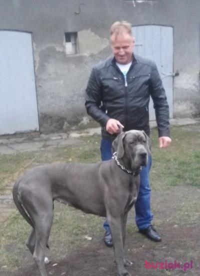 Zbyszek, Mężczyzna, 61, Turek, Polska, Zdjęcie: 2