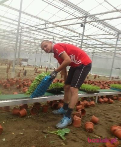 Mariusz, Mężczyzna, 37, Rotterdam, Holandia, Zdjęcie: 3