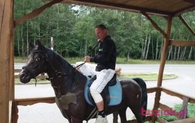 Robert , Mężczyzna, 49, Radom, Polska, Zdjęcie: 3