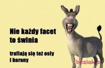 Marek, Mężczyzna, 49, Wielka Brytania, Zdjęcie: 2