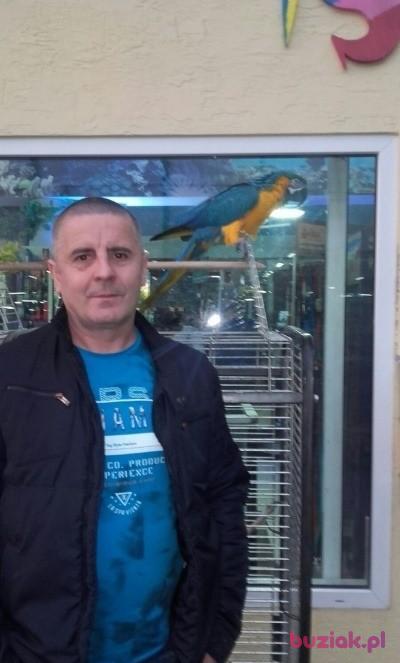 Zbigniew, Male, 57, Gliwice, Polska, Photo: 8