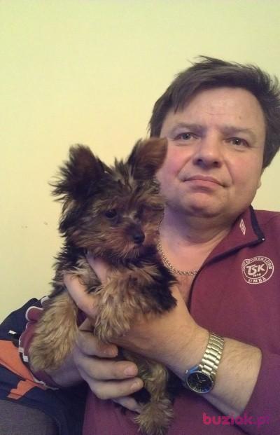 henryk banasiak, Mężczyzna, 66, Ozorków, Polska, Zdjęcie: 2