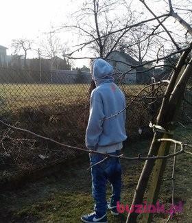 tomek, Mężczyzna, 31, Bielsko-Biała, Polska, Zdjęcie: 3